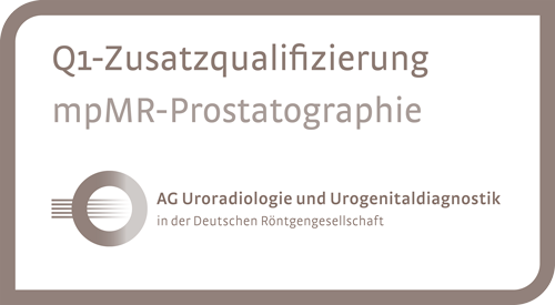 Q1_mpMR-Prostatographie